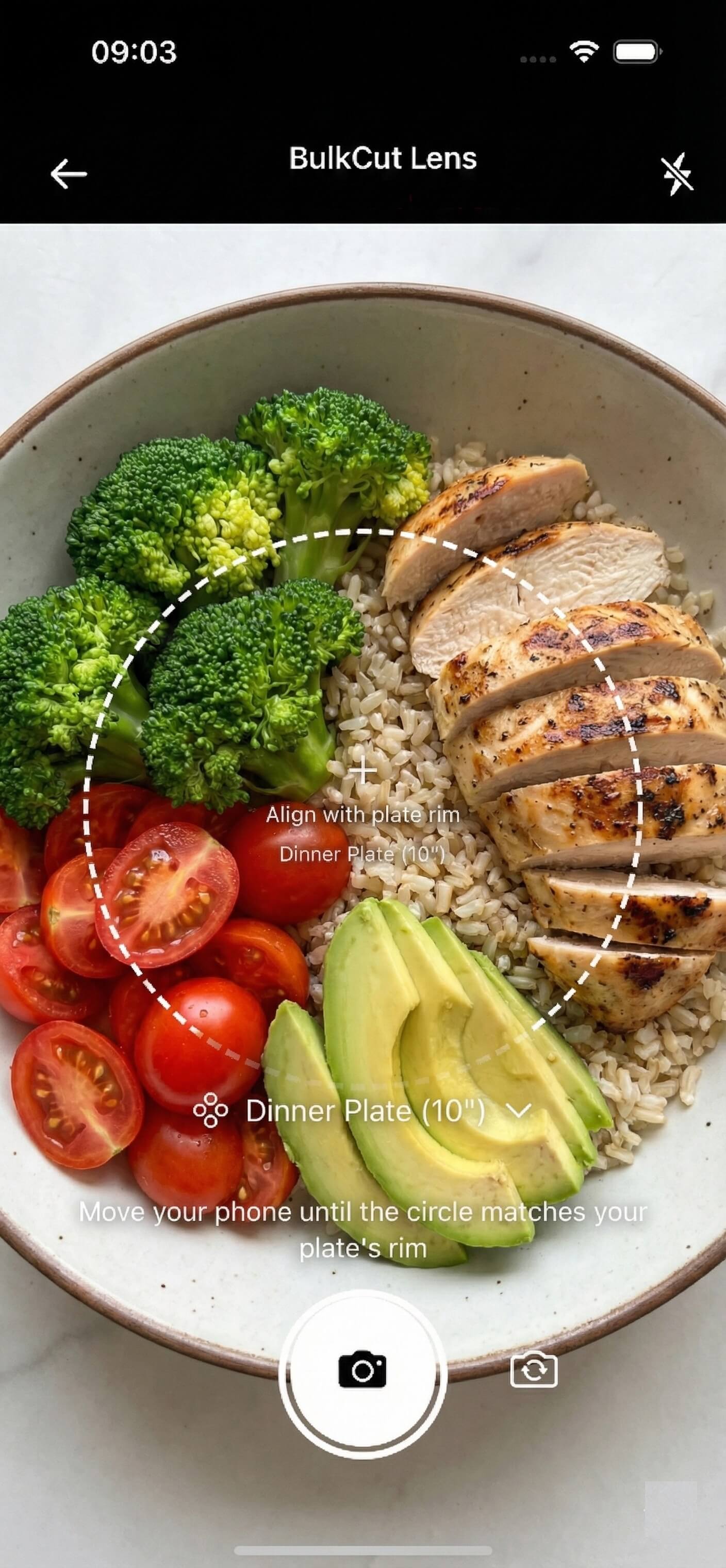 Food Scanning Interface